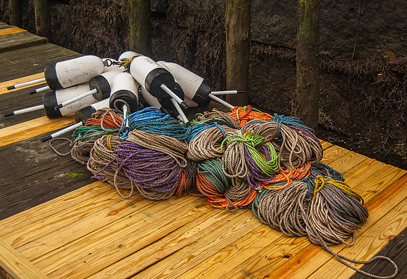 Lobster fishing gear